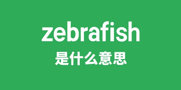 zebrafish是甚么意义