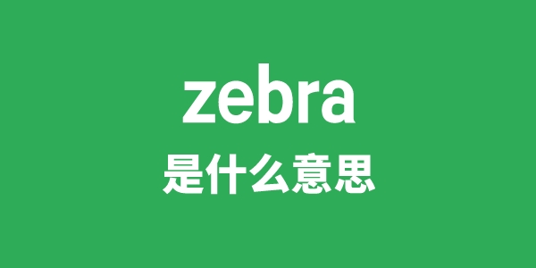 zebra是甚么意义