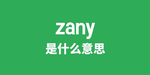 zany是甚么意义