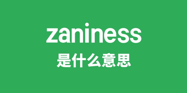 zaniness是甚么意义
