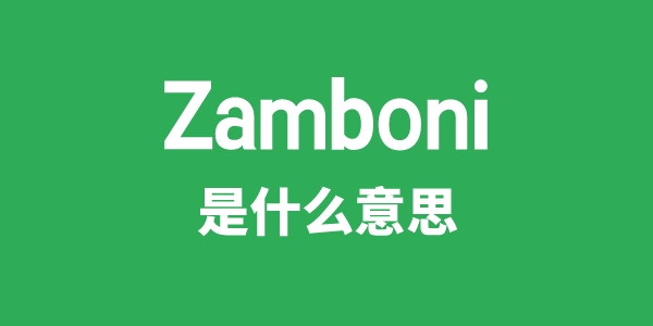 Zamboni是甚么意义