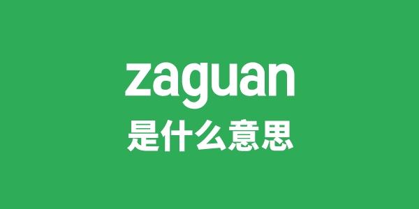 zaguan是甚么意义