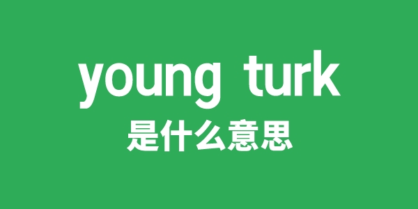 young turk是甚么意义