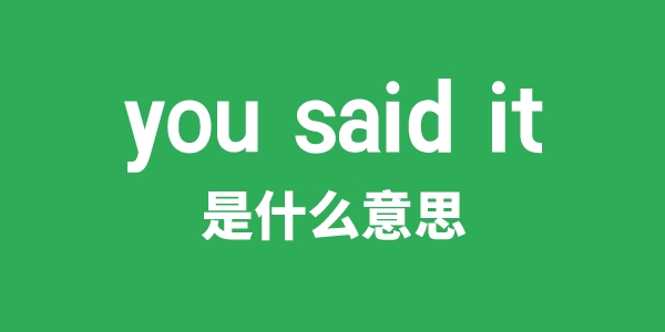you said it是甚么意义