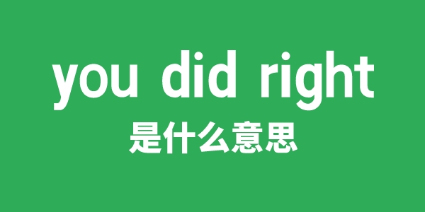 you did right是甚么意义