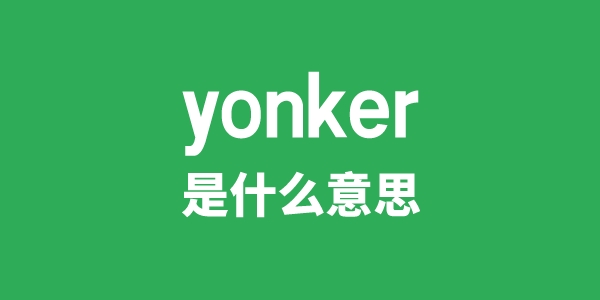 yonker是甚么意义