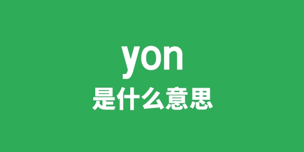 yon是甚么意义