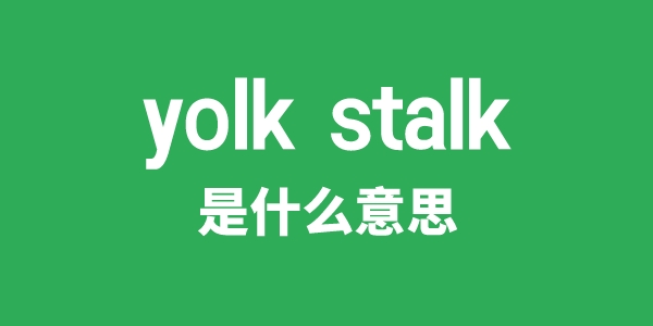 yolk stalk是甚么意义