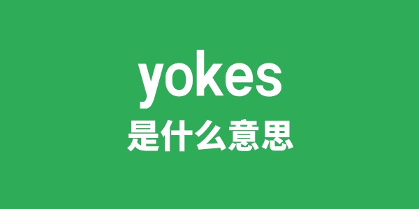 yokes是甚么意义