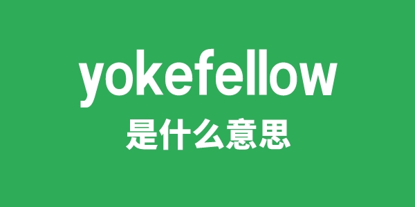 yokefellow是甚么意义