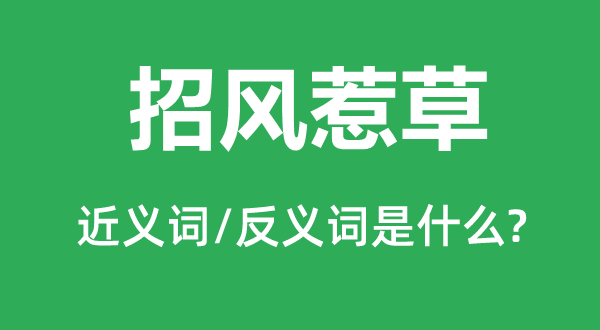 招风惹草的近义词和反义词是甚么,招风惹草是甚么意义
