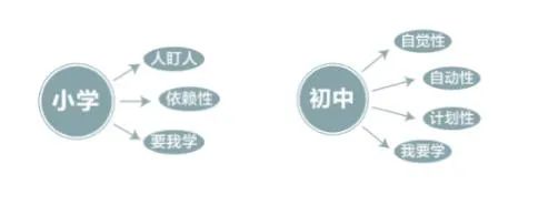 新月朔寒假进修打算表,新月朔寒假该当怎样支配