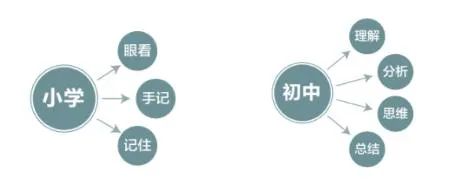 新月朔寒假进修打算表,新月朔寒假该当怎样支配
