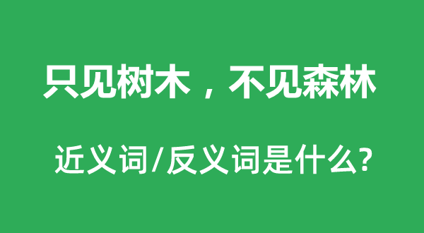 只见树木,不见丛林的近义词和反义词是甚么,只见树木,不见丛林是甚么意义