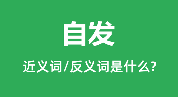 自觉的近义词和反义词是甚么,自觉是甚么意义