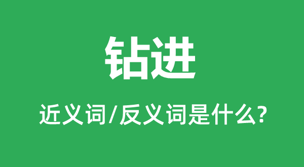 钻进的近义词和反义词是甚么,钻进是甚么意义