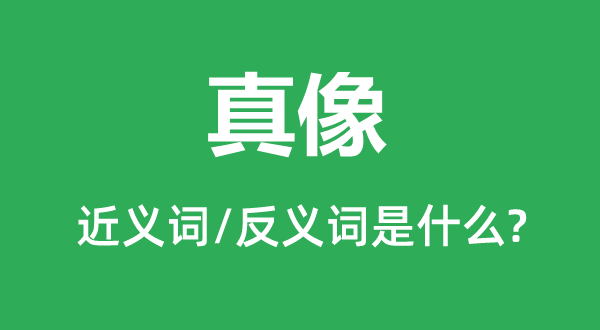 真像的近义词和反义词是甚么,真像是甚么意义