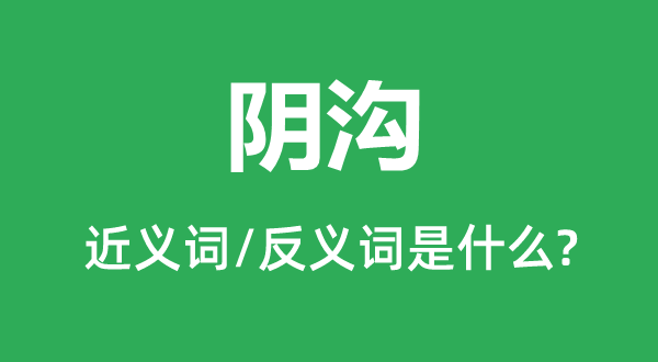 暗沟的近义词和反义词是甚么,暗沟是甚么意义