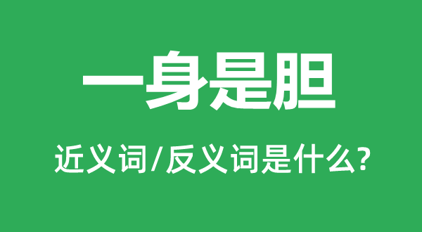 一身是胆的近义词和反义词是甚么,一身是胆是甚么意义