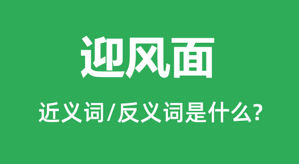 顶风面的近义词和反义词是甚么,顶风面是甚么意义