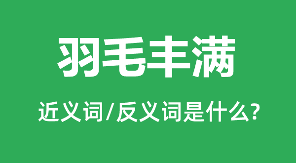 羽毛饱满的近义词和反义词是甚么,羽毛饱尽是甚么意义