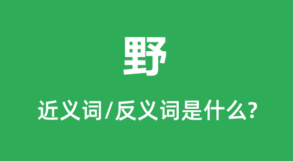 野的近义词和反义词是甚么,野是甚么意义