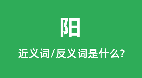 阳的近义词和反义词是甚么,阳是甚么意义