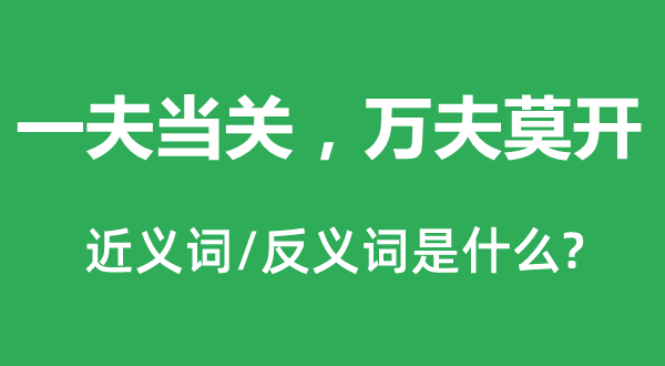 一夫当关，万夫莫开的近义词和反义词是甚么,一夫当关，万夫莫开是甚么意义