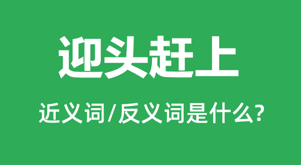 迎头遇上的近义词和反义词是甚么,迎头遇上是甚么意义