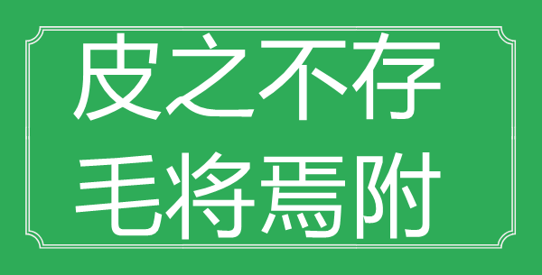 “皮之不存，毛将焉附”的意义来由及全文赏析