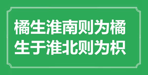 “橘生淮南则为橘,生于淮北则为枳”的意义来由及全文赏析