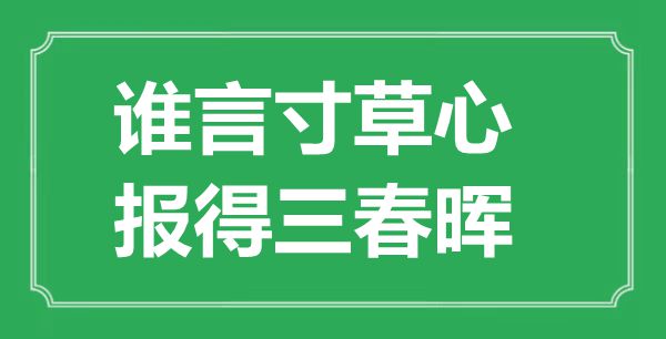 “谁言寸草心，报得三春晖”是甚么意义,来由是那里