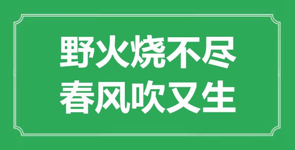 “野火烧不尽,春风吹又生”是甚么意义,来由是那里