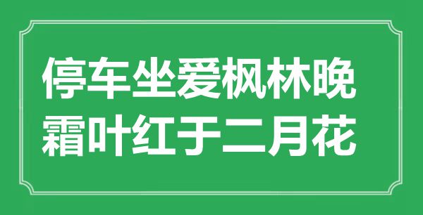“泊车坐爱枫林晚，霜叶红于仲春花”是甚么意义,来由是那里