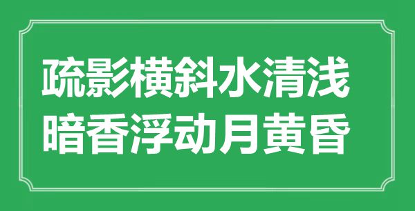 “疏影横斜水清浅,暗香浮动月傍晚”是甚么意义,来由是那里