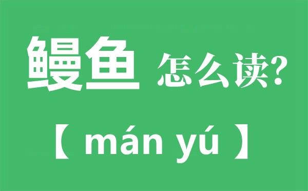 鳗鱼的读音,鳗字怎样读拼音是甚么,鳗鱼的鳗为甚么不读第四声