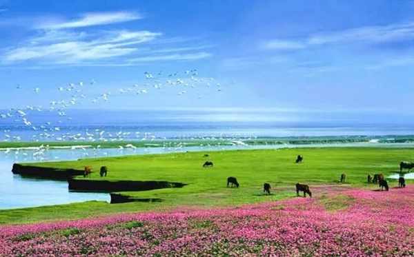 鄱阳湖怎样读,鄱阳湖读bo仍是po,鄱阳湖位于哪一个省分