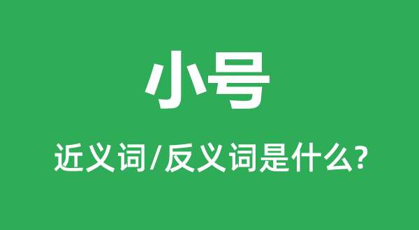 小号的近义词和反义词是甚么,小号是甚么意义