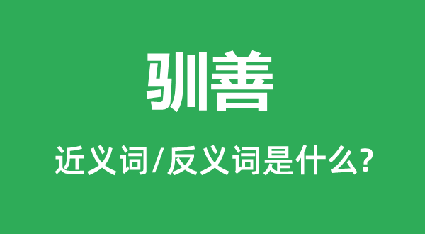 驯善的近义词和反义词是甚么,驯善是甚么意义