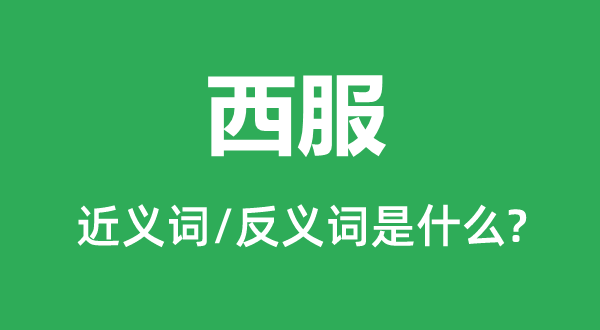 洋装的近义词和反义词是甚么,洋装是甚么意义