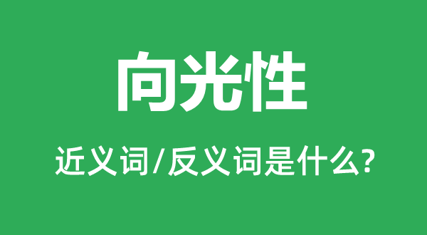 向光性的近义词和反义词是甚么,向光性是甚么意义