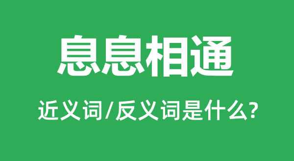 息息雷同的近义词和反义词是甚么,息息雷同是甚么意义