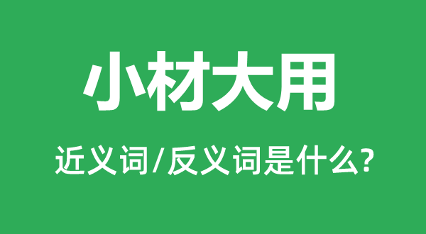 小材大用的近义词和反义词是甚么,小材大用是甚么意义