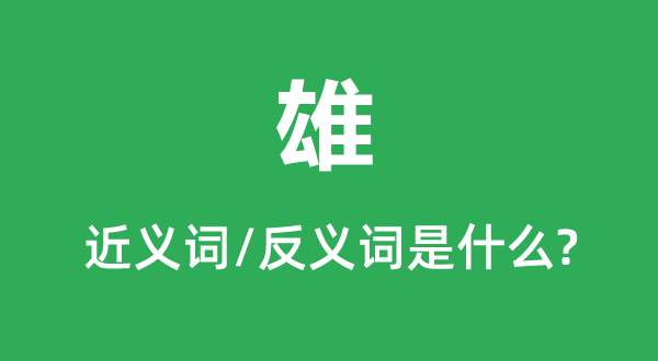 雄的近义词和反义词是甚么,雄是甚么意义