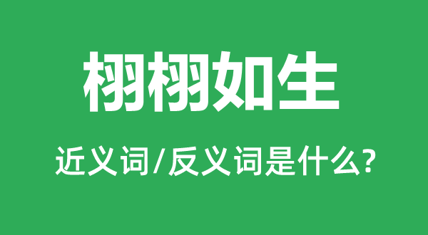 有条有理的近义词和反义词是甚么,有条有理是甚么意义
