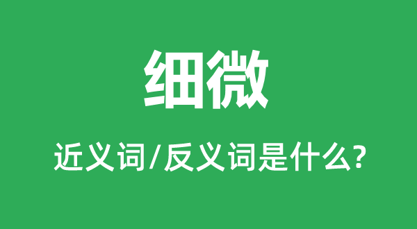 纤细的近义词和反义词是甚么,纤细是甚么意义