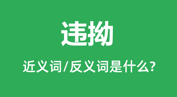 依顺的近义词和反义词是甚么,依顺是甚么意义