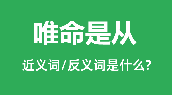 惟命是从的近义词和反义词是甚么,惟命是从是甚么意义