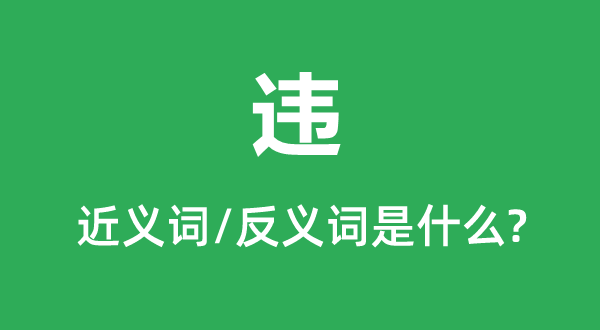 违的近义词和反义词是甚么,违是甚么意义
