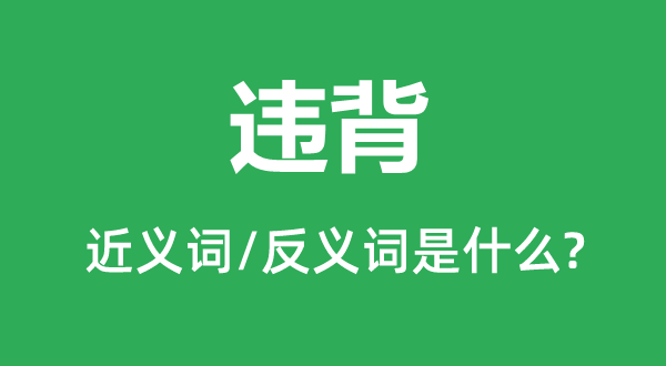 违反的近义词和反义词是甚么,违反是甚么意义